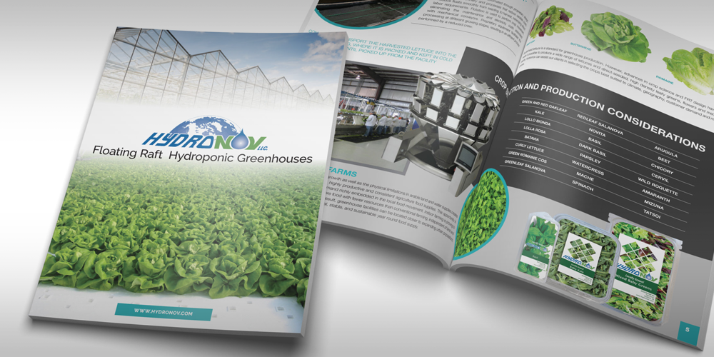 Technical Grapshim Service