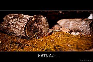 Nature 1 of 100