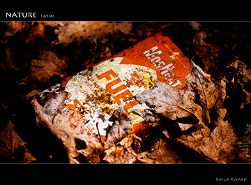 Nature 12 of 100