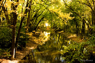 Autumn Creek