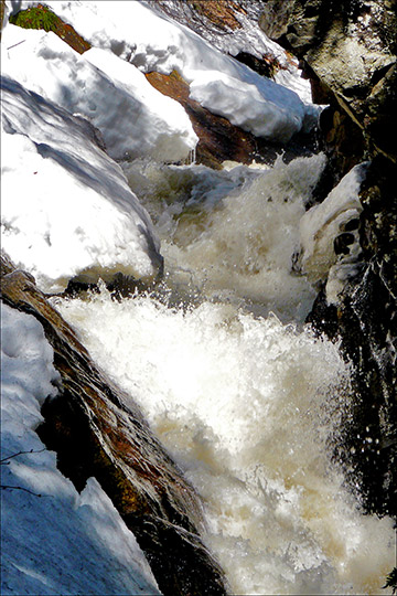La fonte