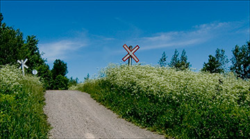 Railroad Crossing