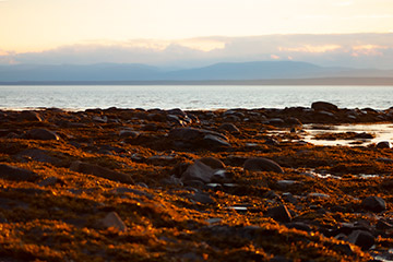 Rivière du Loup