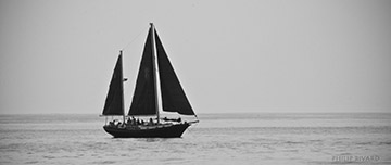 Voilier